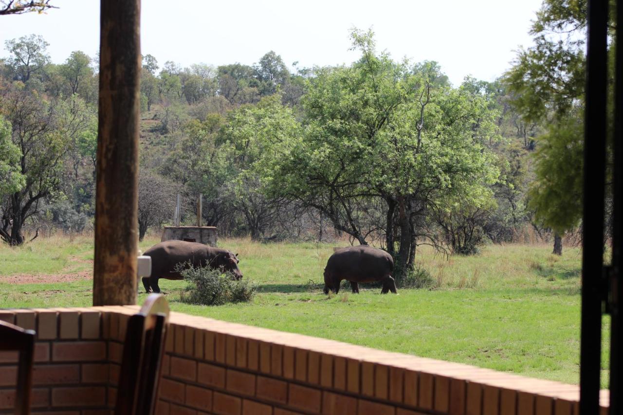 Wilgeboomsdrift Safaris Lejlighed Modimolle Eksteriør billede